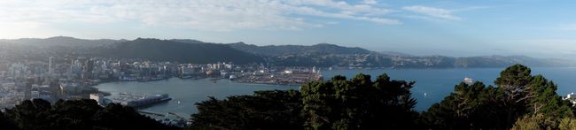 Wellington - View from Mount Victoria