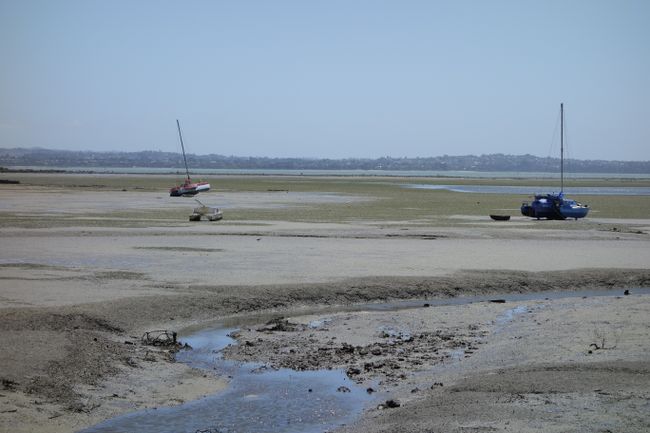 One of Auckland's bays at low tide