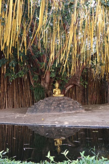 A Buddha on an island in a temple.