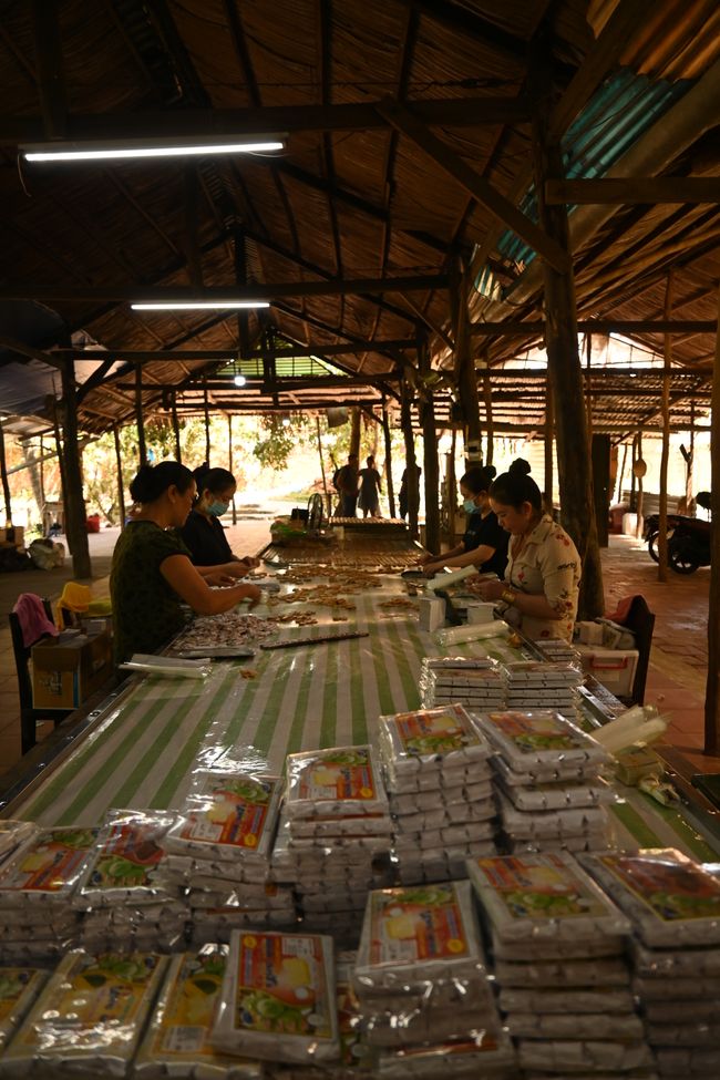Packaging the Coconut Sweets