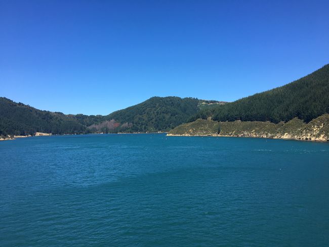 The ferry crossing from Picton to Wellington and Wellington