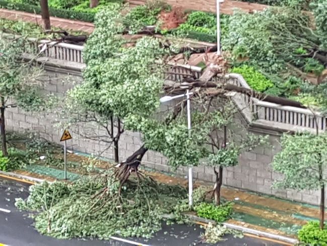 Taifun "Meranti" 2016