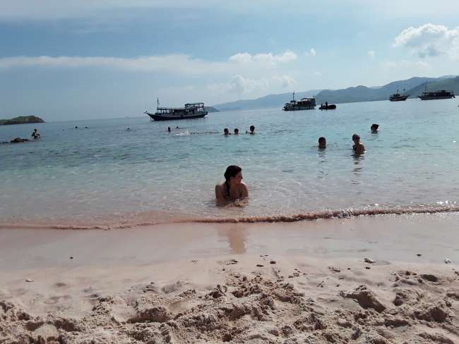 Pink Beach- Indonesien