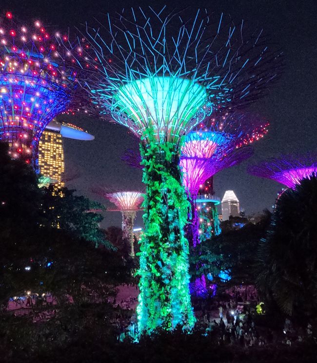 Tag 46 & 47 - Singapur - Hop on hop off (Little India - Chinatown - Botanic Garden - Night-Tour - Lasershow)