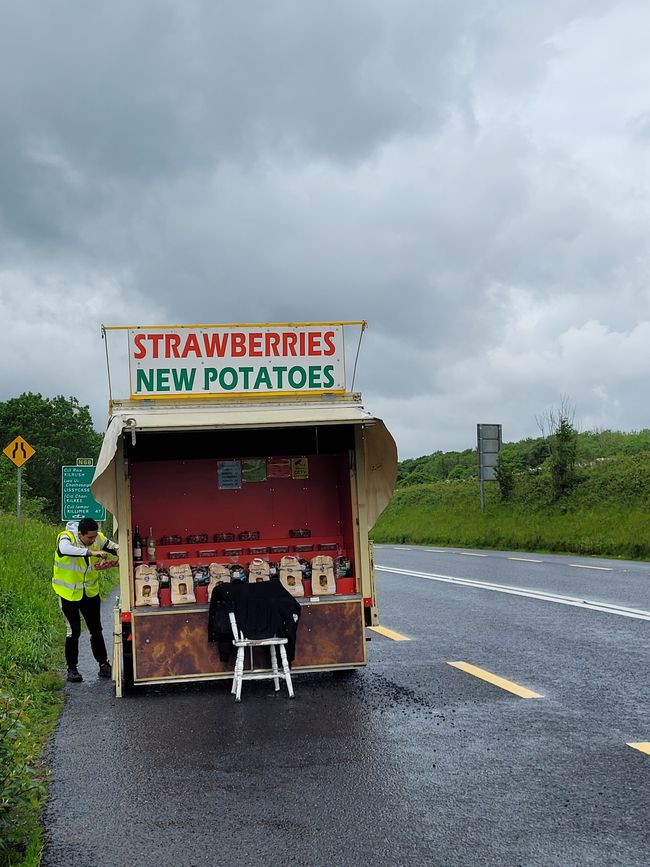Strawberries on the roadside
