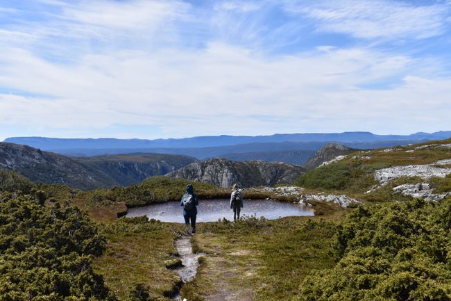 Cradle Mountain, Elven Forest