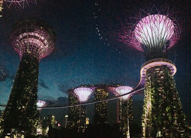  Super Tree Grove, Gardens by the Bay