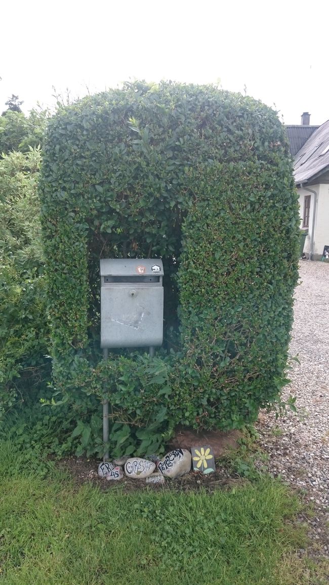 A mailbox. Who was here first?