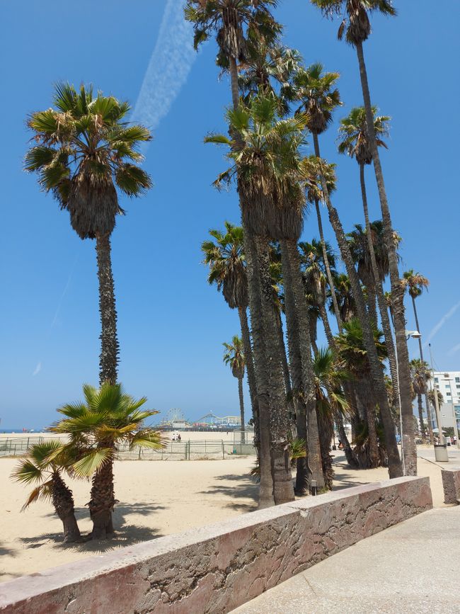 Day 7: LA: Santa Monica and Venice Beach