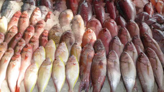 Fish Market in Cochin