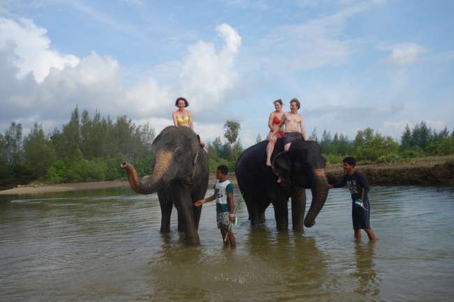 Unsere Elefanten-Ladies
