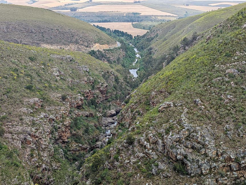 D'Oudtshoorn à Hermanus - avec un détour dans le 'Midwest'