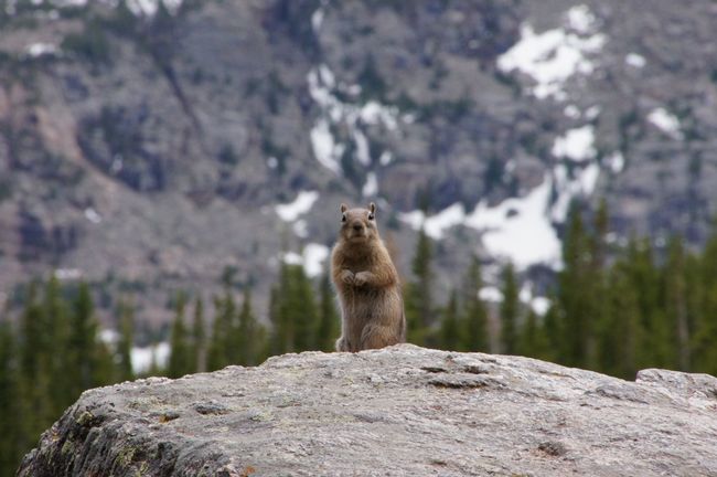 Rocky Mountain National Park - der letzte Tag in Colorado