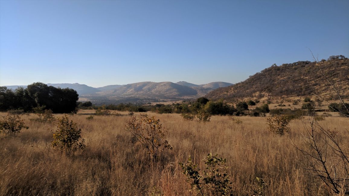 Día 7 - Parque Nacional de Pilanesberg