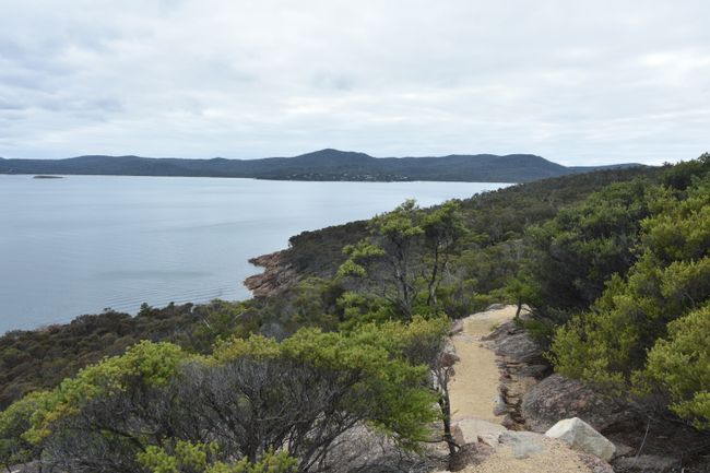 Our hiking trail along Coles Bay