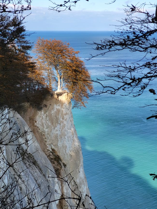 Møns Klint - Hike "The Realm of the Rock King"
