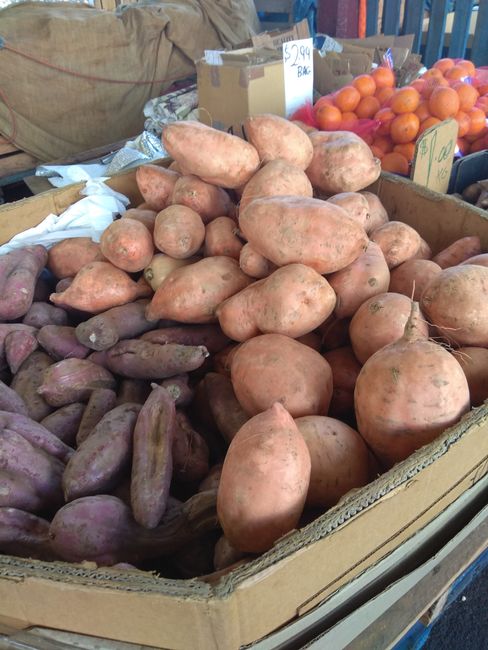 Victoria Markets: huge sweet potatoes!😋