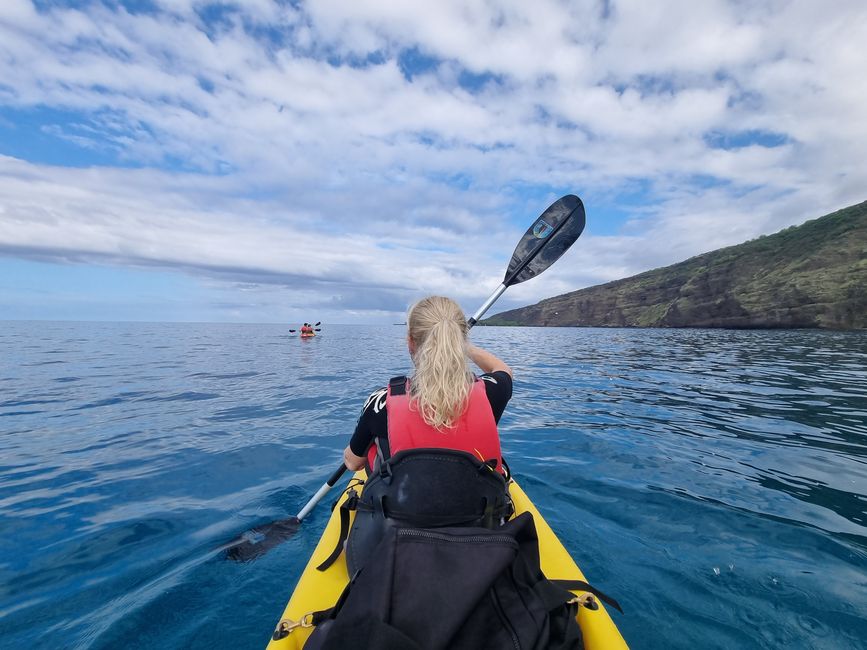 Hawaii 2022 - Teil 1: Big Island