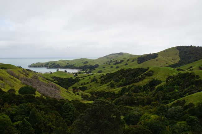 The Coromandel Peninsula, Cathedral Cove, and Rotorua