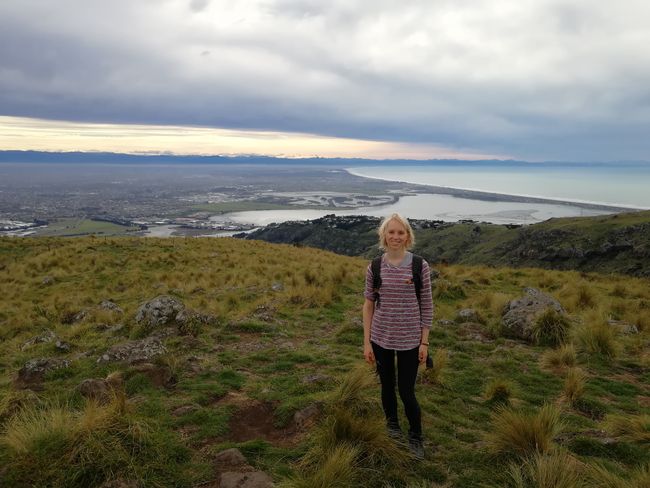 Blog 16: last days in NZ