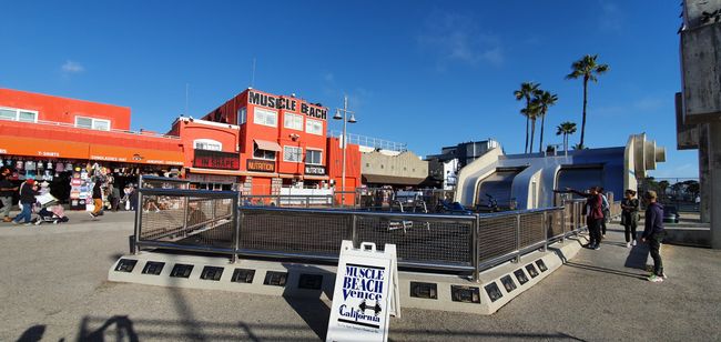 Muscle Beach