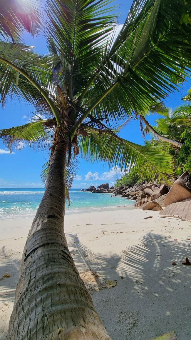 Seychellen 2023 - Teil 1: La Digue