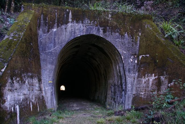 Eisenbahntunnel - Kawatiri Historic Railway Walk
