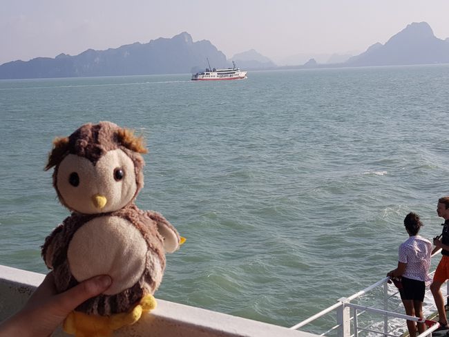 My travelling owl in front of Koh Samui