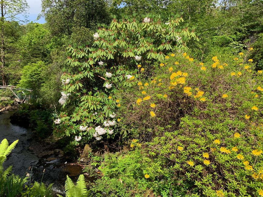 ಡನ್ವೆಗನ್ ಕ್ಯಾಸಲ್ ಸಮುದ್ರದ ಮುಂಭಾಗ