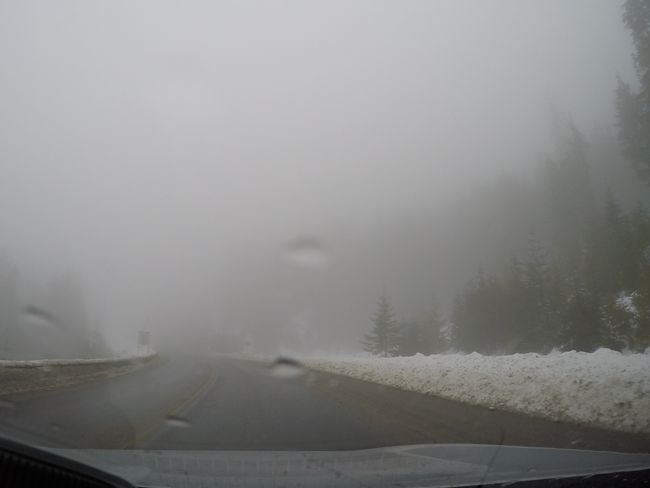 Nebelschwaden on the road
