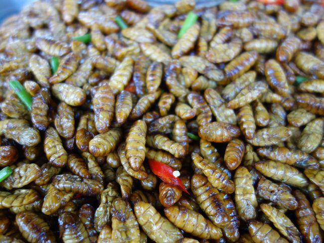 Frittierte Würmer mit Chili