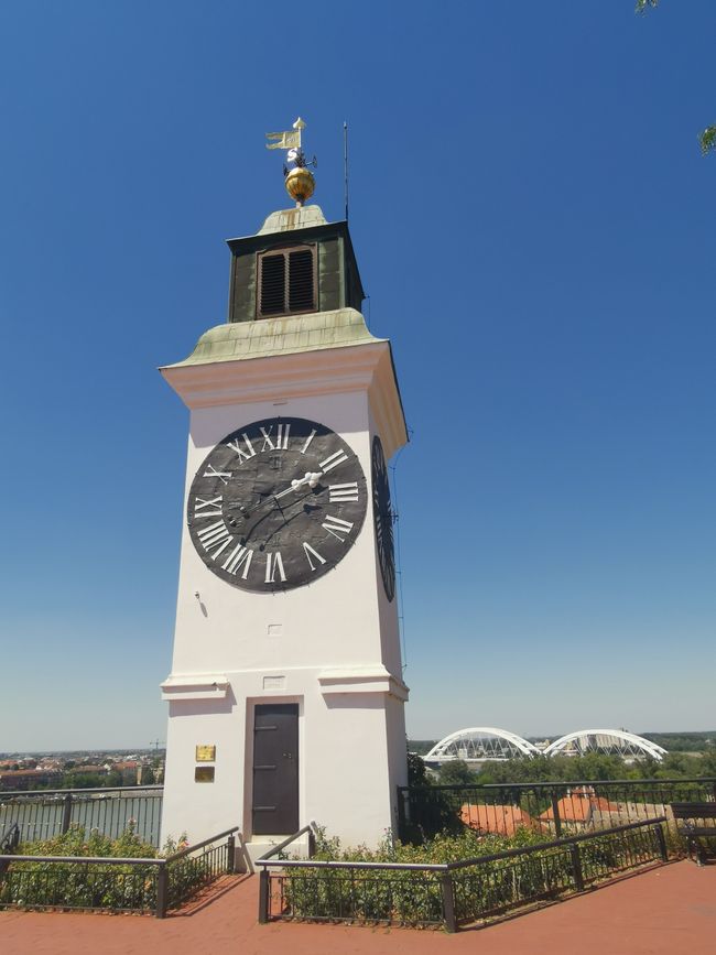 Tag 182 - Novi Sad, Serbien (11.07.2020)