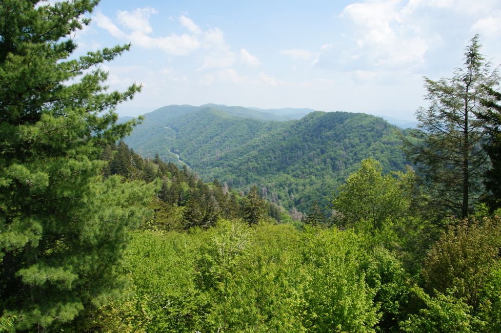Čārlstona, die Great Smoky Mountains, Gatlinburga — 3 Bundesstaaten un 1 Tag