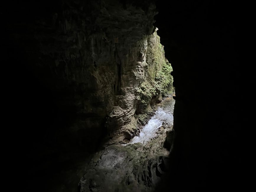 Waitomo - Ruakuri Bush Walk - Natural Tunnel