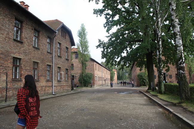 Auschwitz I and Auschwitz II Birkenau extermination camp
