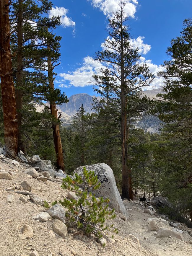 High Sierra Trail Day 5