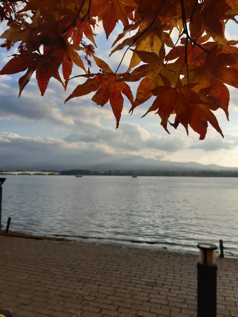 das sind nicht nur Wolken da hinterm See, sondern Fuji #10