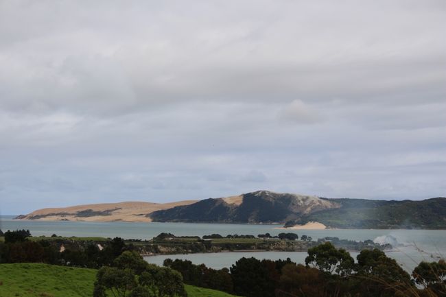 Dragaville and Pukenui