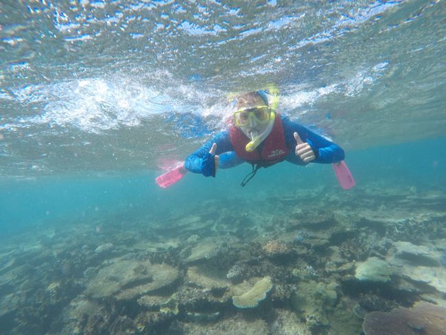 Jule in the Great Barrier Reef
