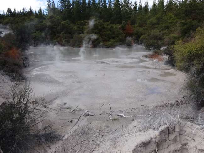 Mud eruption