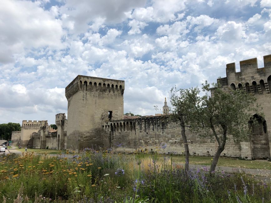 Avignon und Saint Martin de Ardèche