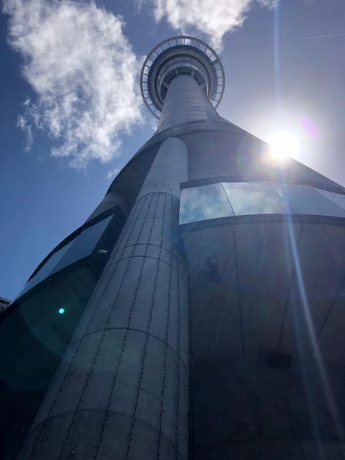 Auckland (3 días)