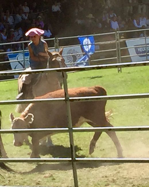 Gaucho festival