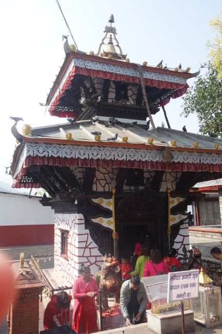 Pokhara in color
