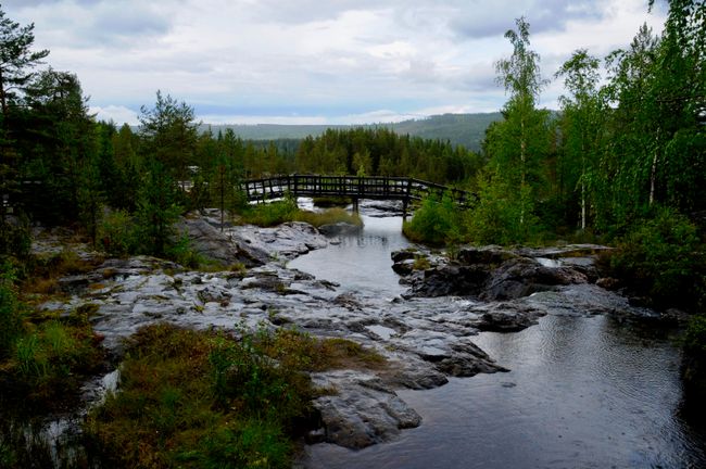 Lappland - Storforsen Stromschnellen - 15. August