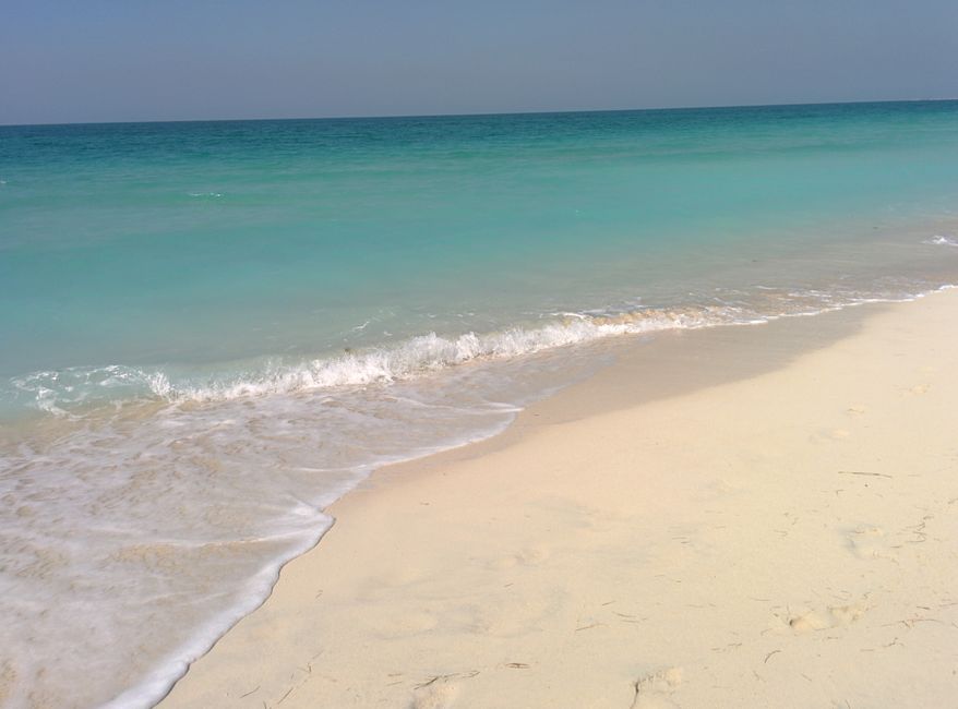 Tag 8 (2015) Abu Dhabi: Saadiyat Beach - ein Traum in türkis
