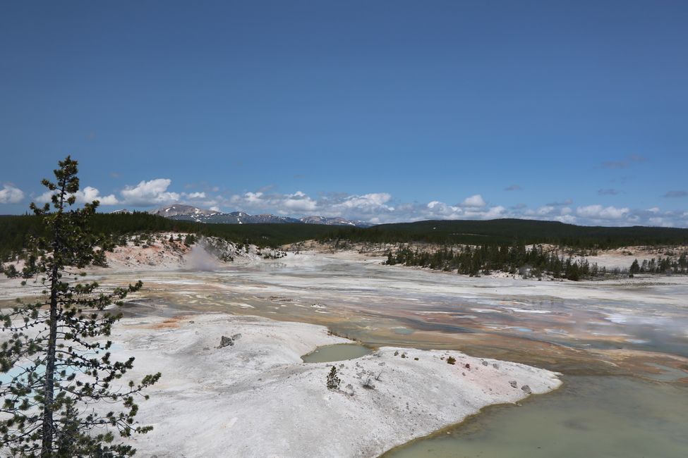 Welcome to the hotplate of the earth - Yellowstone NP