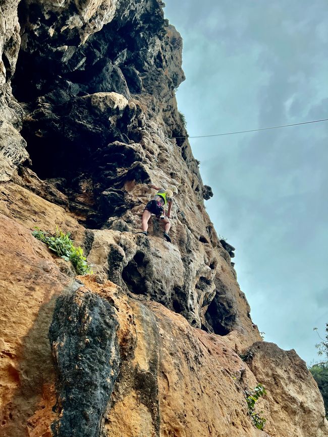 Tag 319 - climbing @ Bat cave with rain ☺️