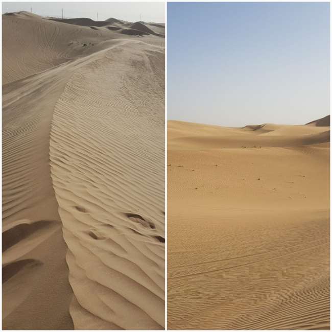 6 टैग - रेगिस्तान सफारी 🐪 के बा