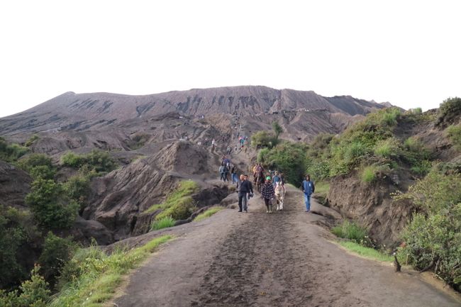 the path to the crater
